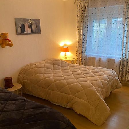 Appartamento Au Coeur Des Vosges Laval-sur-Vologne Esterno foto