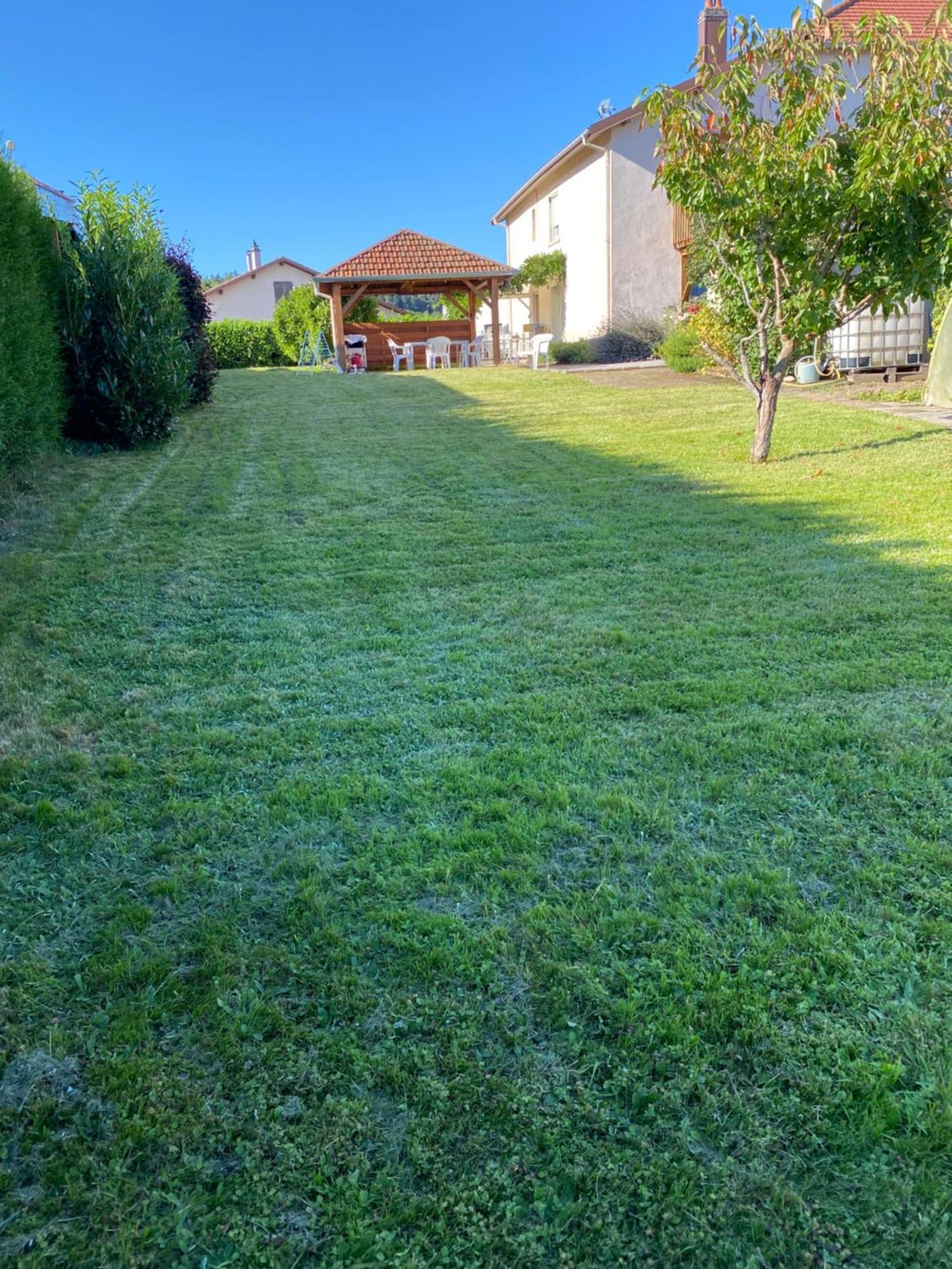 Appartamento Au Coeur Des Vosges Laval-sur-Vologne Esterno foto